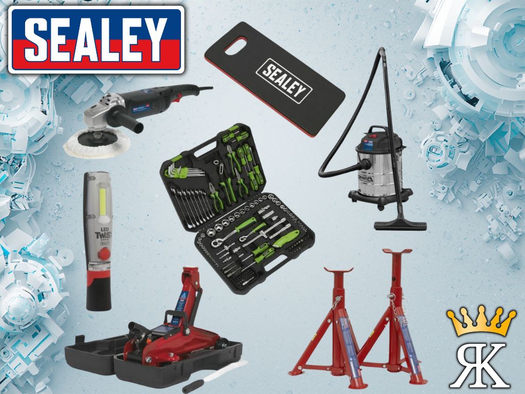 Professional Valet & Detailing Bundle